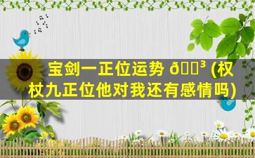 宝剑一正位运势 🌳 (权杖九正位他对我还有感情吗)